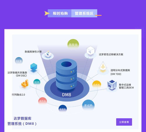 雙十一榜單揭曉 中國電子最強國貨亮相，藍信榮膺上榜彰顯研發實力